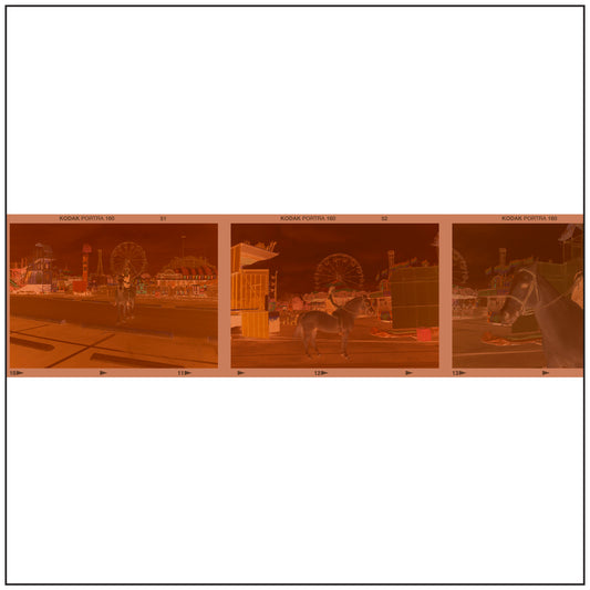 Carousel - Carson Mchone